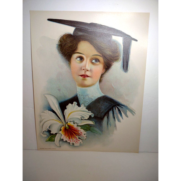 Victorian Art Print Women Graduate School Iris Flower Lithograph 1906 Original - Picture 3 of 7